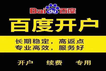 案例分享：SEM优化实战案例解析